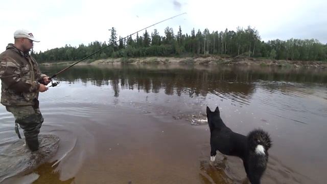 Я, Ленка, щуки и супер оружие от комаров! смотреть онлайн