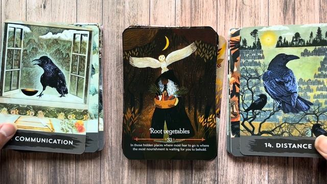 SOTW: Mabon Oracle | Impressions & Pairings смотреть онлайн