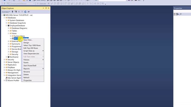 Managing SQL Server Databases In Visual Studio: A Step-by-Step Guide (Part 2/2)