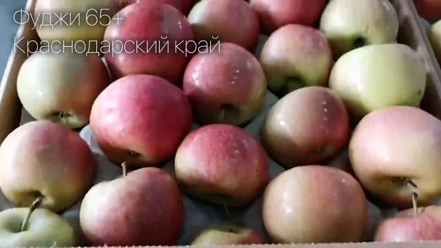 Яблоки Фуджи 65+. РостАгроЭкспорт. Оптом. Цена по запросу смотреть онлайн