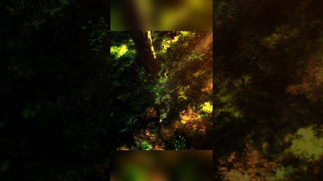MoonDeity – BURNING SOULS [Jujutsu Kaisen AMV] #amv #animeedit #jujutsukaisenedit #sukunaedit смотреть онлайн