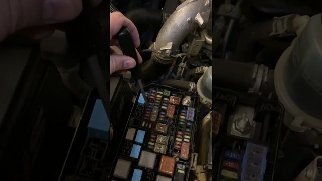 Предохранители на ближний свет фар прадо 150 смотреть онлайн