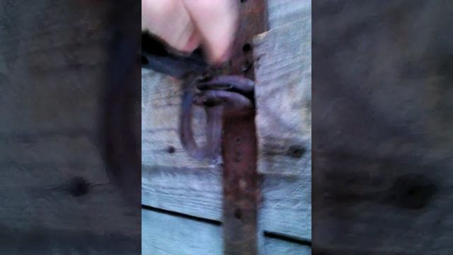 Буран 4 тд смотреть онлайн