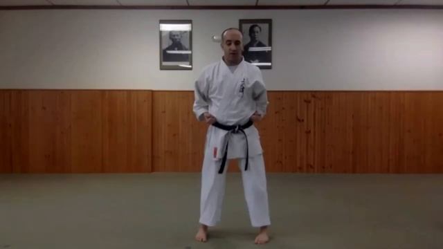 3/31/20 Karate for Everyone Class смотреть онлайн