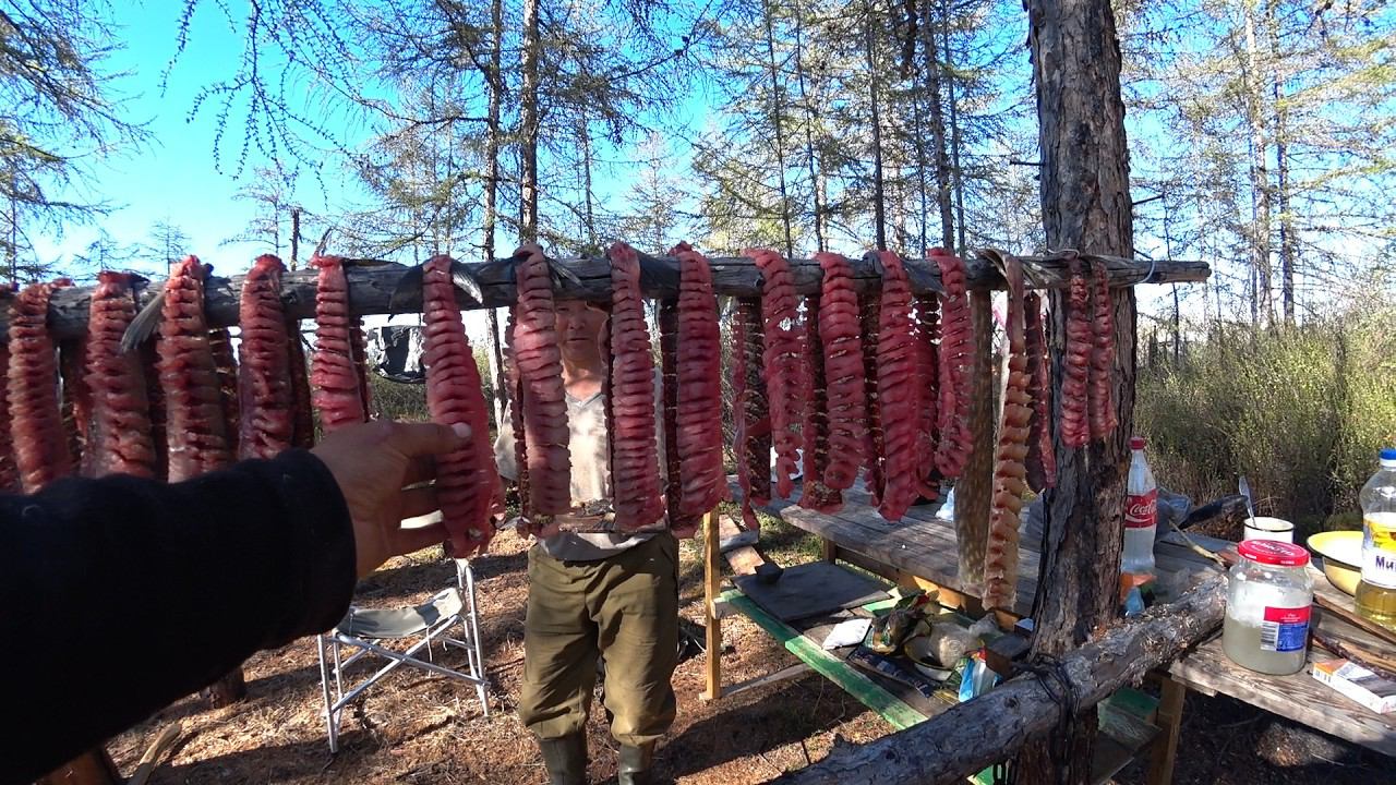 2 ЧАСТЬ:ТУРПАН ПОШЕЛ! ОХОТА НА УТКУ 2024 В ЯКУТИИ смотреть онлайн