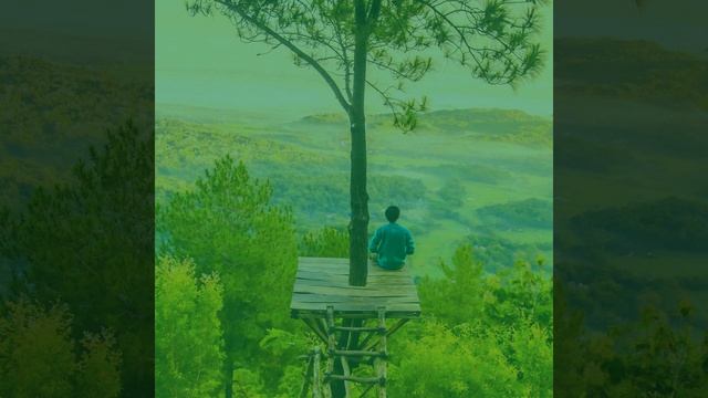 Чувство (Медитация) смотреть онлайн