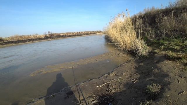 Лучшая рыбалка за последние 5 лет. Вобла как из пулемёта. Рыбалка в Алматы) смотреть онлайн