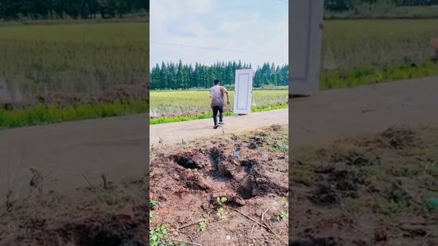 Смешное видео l Funny Bear ?? P877 смотреть онлайн