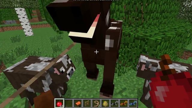 Minekraft 1.7.2 как приручить лошадь в Minecraft смотреть онлайн