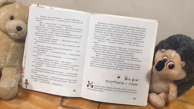 Медиачтения Bibfil24 || Андрей Усачёв «Как Соня потеряла все на свете» Читает Тимур Ширзадов смотреть онлайн