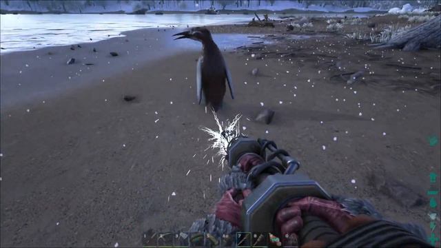 ARK: Survival Evolved - NEW UPDATE WINTER WONDERLAND NEW ITEMS !!! [Ep 62] (Server Gameplay) смотреть онлайн