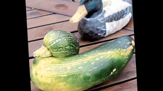 Поделки лета своими руками Съедобные поделки из овощей и фруктов смотреть онлайн