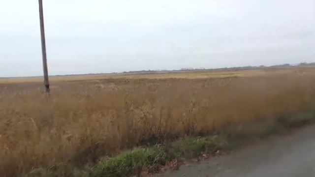 Учитесь что надо делать в такой ситуации смотреть онлайн