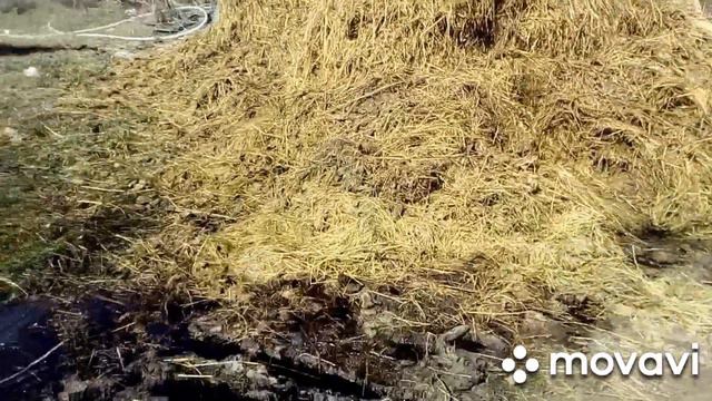 Влог# 15 Самоизоляция полным ходом. Все по домам. смотреть онлайн