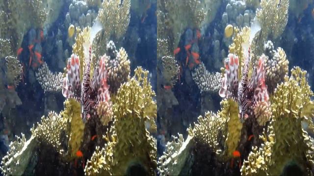 automatic 2D to 3D HD video conversion with freeware смотреть онлайн