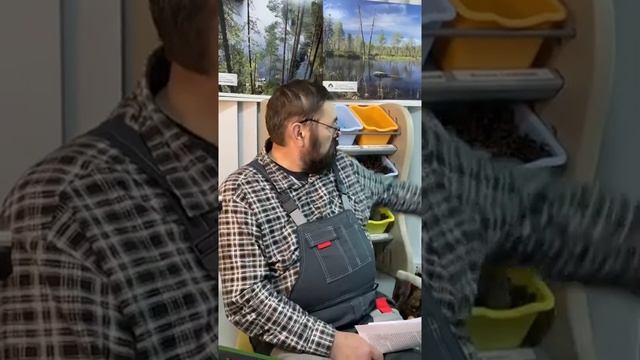 Лекция о северном лесном олене смотреть онлайн