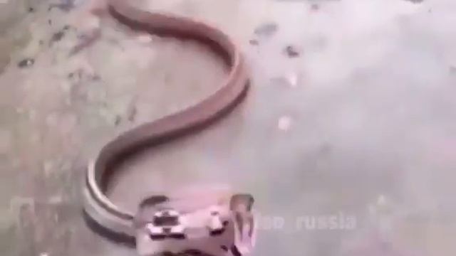 Кажется мы нашли твою девушку смотреть онлайн