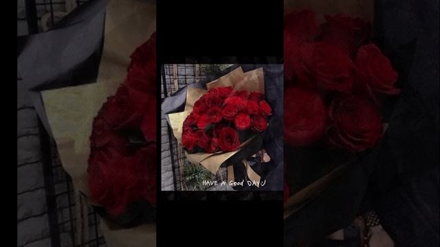 цыганская полька 2023 смотреть онлайн