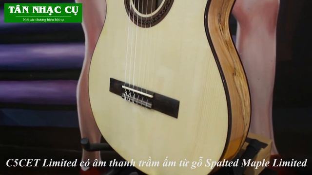 Đàn Guitar Cordoba C5CET Limited