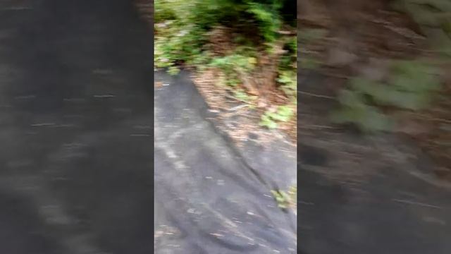 КАБАЧКИ АВТОПОЛИВ из бочки 2021июнь15 смотреть онлайн