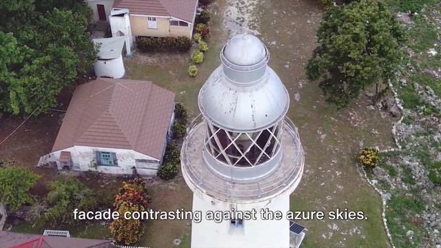 Hidden Secrets of Negril Jamaica Revealed смотреть онлайн