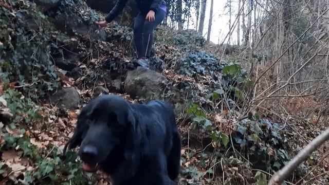 Наш тандем с Фабио возобновился и он привёл меня на берег каменных волн- нитей и зародышей туннелей смотреть онлайн