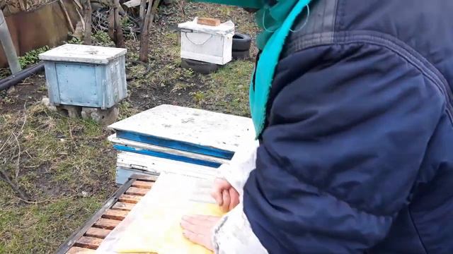 Главная весенняя ревизия в улье №4 | 352. 00 смотреть онлайн