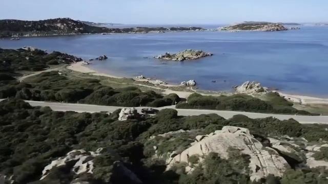 Машины и жизни