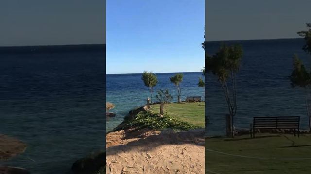 Пляж Sunrise Diamond Beach 5* Шарм-эль-Шейх 🇪🇬 Египет
