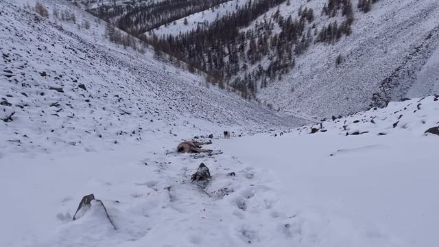 Ниргининдьэ. Часть 2. Кочевка на другое место. смотреть онлайн