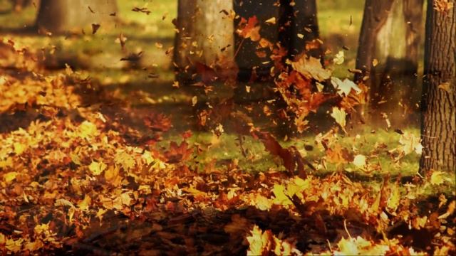 Он и она... смотреть онлайн