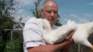 У жителя посёлка Большой Исток появился необычный друг – гусь по кличке Малыш