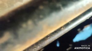 тойота HI LUX  ошибки Р2563 и Р2588 что может быть. Как не попасть на ненужный дорогой ремонт.