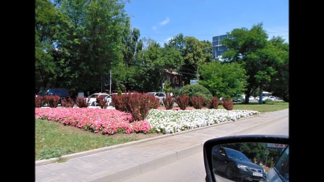 Ростов-на-Дону. Цветы.