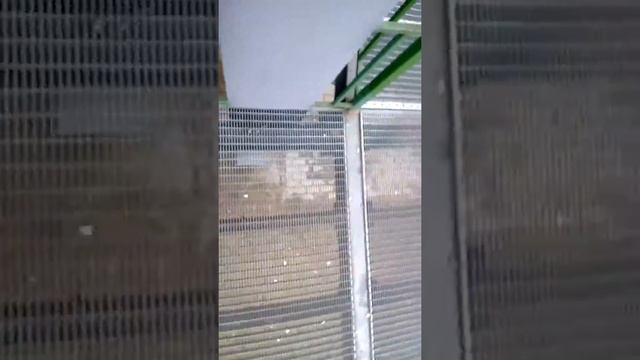 Адская лестница и страх Софии)) смотреть онлайн