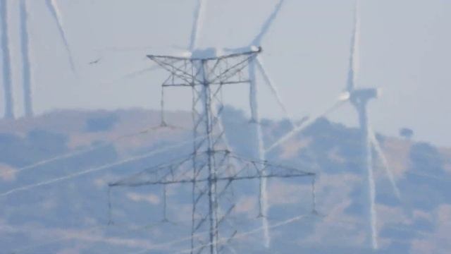 Zoom Nikon coolpix P100.-cotallononocot смотреть онлайн