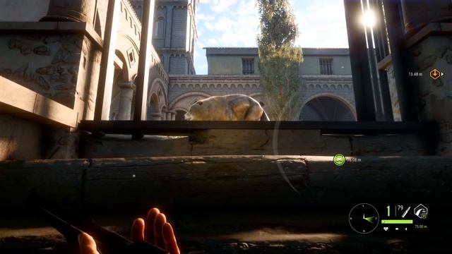 The Hunter Call Of The Wild | THEY HAVE AN ATTACK WOLF!? (CUATRO COLINAS) смотреть онлайн