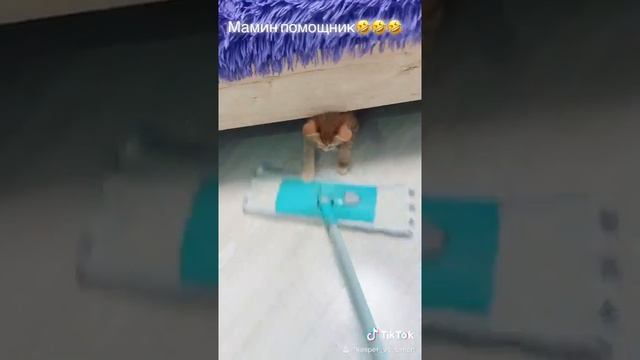 МОЙДОДЫР смотреть онлайн