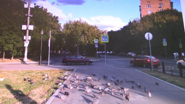 по парадному бульвару Рокоссовского смотреть онлайн