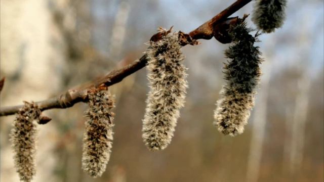 Богачи швырнули бомжу горбушку хлеба. Но то, что случилось дальше... #нескучныеистории #аудиорасска смотреть онлайн