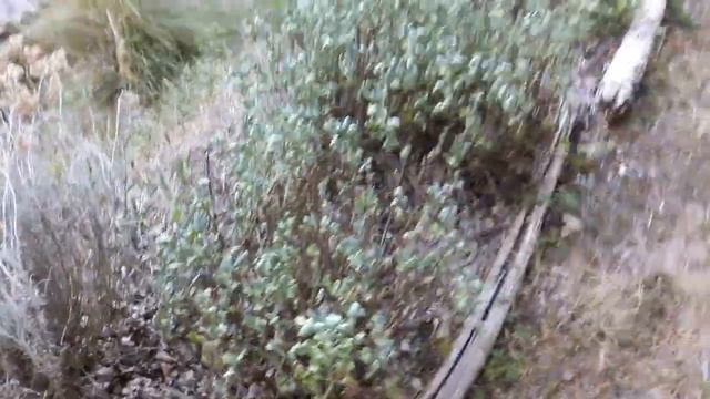 Promenade aux jardins en août - Les Jardins de la Tine-sècheresse, catastrophes et bonnes surprises смотреть онлайн