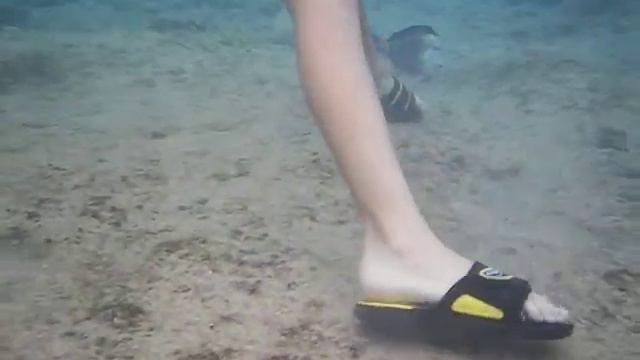 Шарм-Эль-Шейх. Shores golden смотреть онлайн