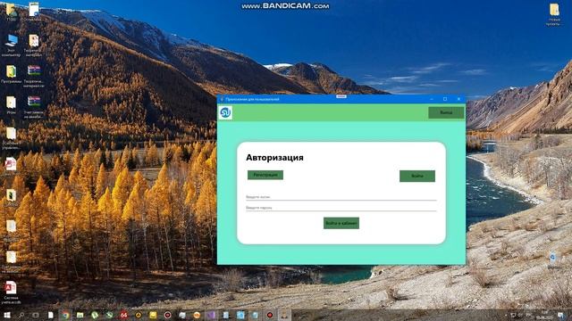 Учет заявок на авиабилеты (C#, WPF, WinForms, SQL Server, SqLite, Access) смотреть онлайн