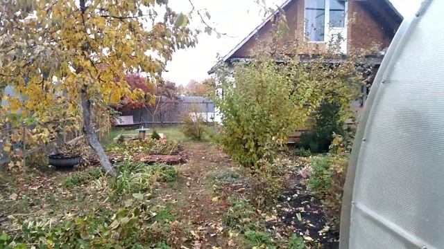 Осень, скоро холода ,пора шить одеяла. смотреть онлайн