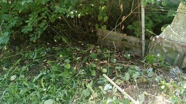 Наша супер дача! Эпизод второй. 2 июля 21 года. Очищаем забор от зарослей смотреть онлайн