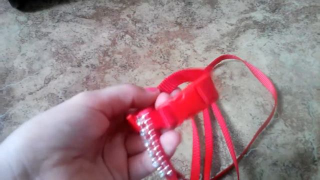 Покупки из зоомагазина( зоорай и кот и пёс) закупилась конкретно смотреть онлайн