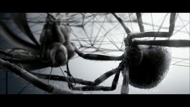 Matt Lange - That much higher смотреть онлайн