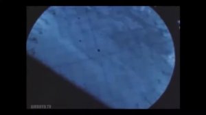 Секретные снимки НАСА Плоской Земли с орбиты