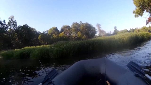 Сплав по реке Протва 11 06 22 смотреть онлайн