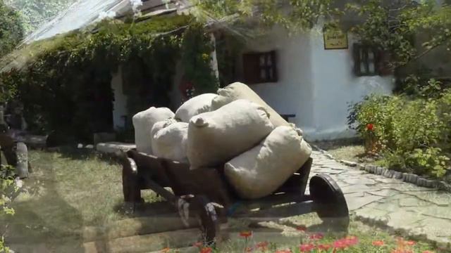 Туристический комплекс "Казачья станица Атамань", Краснодарский край, Темрюкский район (25.07.19) смотреть онлайн